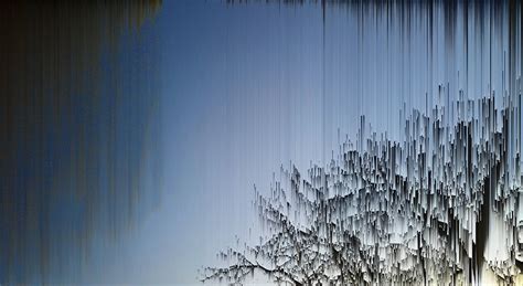 Bosque on Behance