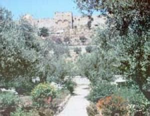 Garden Of Gethsemane