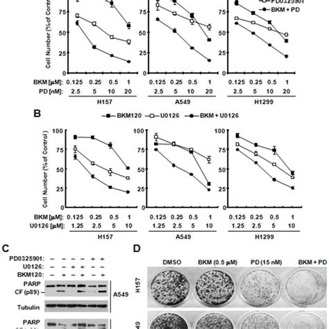 The Combination Of Pd0325901 And Bkm120 Is Significantly More Effective