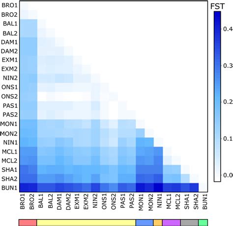 Heatmap Of Pairwise Fst Among All Sites Sampled For Avicennia Marina