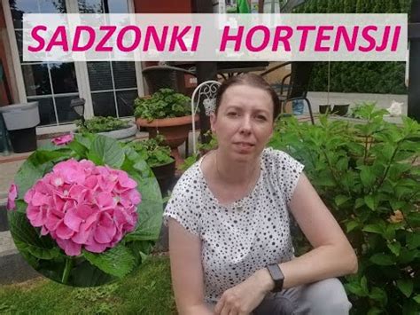 Jak rozmnażać hortensje ogrodowe i bukietowe Bardzo łatwa