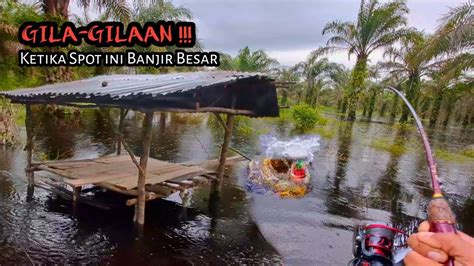 Ganas Casting Ikan Gabus Di Spot Banjir Besar Membuwat Sambaran Gila