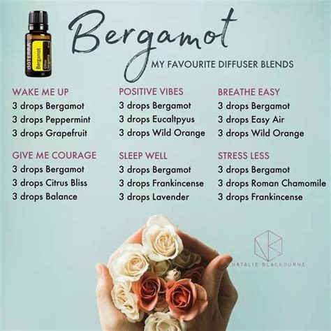 Bergamot Blends Essential Oil Diffuser Blends Recipes Essential Oils