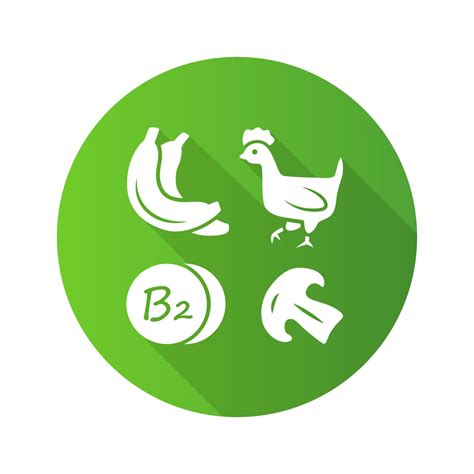 Vitamin B Green Flat Design Long Shadow Glyph Icon Bananas Poultry