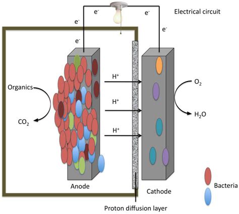 Energies Free Full Text Microbial Fuel Cells A Current Review