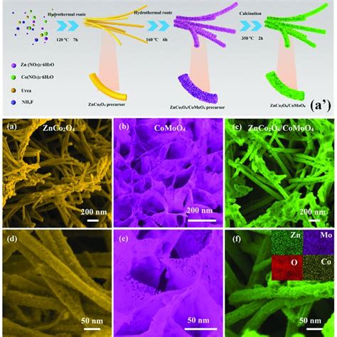 A Synthesis Schematic A C Low Magnification SEM Images And D F