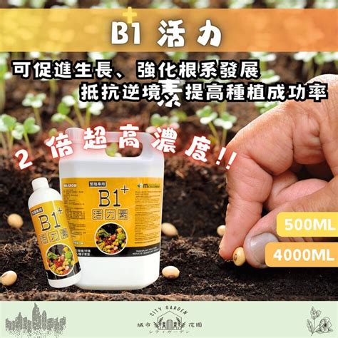 【全館490超取免運】b1活力素500ml 微綠 開根劑 定植、移植、嫁接、扦插、壓條、分株、播種、育苗 蝦皮購物