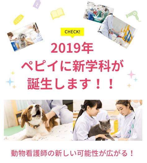 大阪ペピイ動物看護専門学校 On Twitter Topnews🌝 新高校3年生の方へ‼️ ペピイの3年制が新しくなります 【動物看護