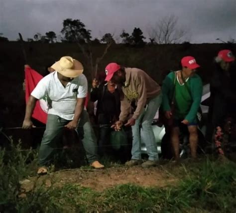 Integrantes do MST voltam a invadir fazenda em Minas Gerais Diário do