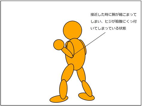 極真空手｜（初心者用）前蹴りの基本を覚えて、組手で使える様になろう 極真カラテ黒帯への道