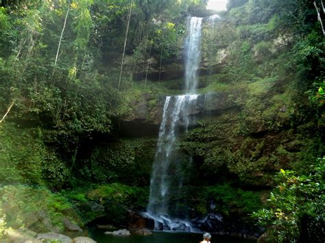 Magical journeys in the wilderness of Putumayo (Colombia) - El Mundo Magico