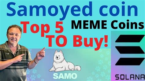 Samo Crypto Price Prediction Solana S Cutest Ambassador Samoyed