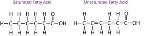 Ck12 Foundation