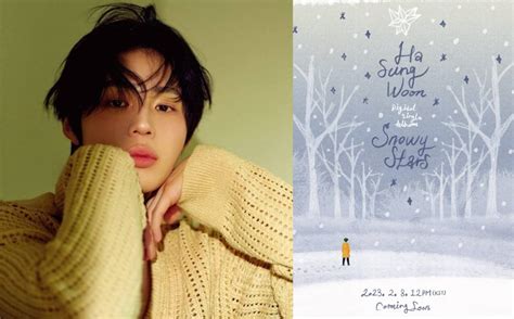 Ha Sung Woon Hayran Kul B N N Y L D N M N Kutlamak In Snowy