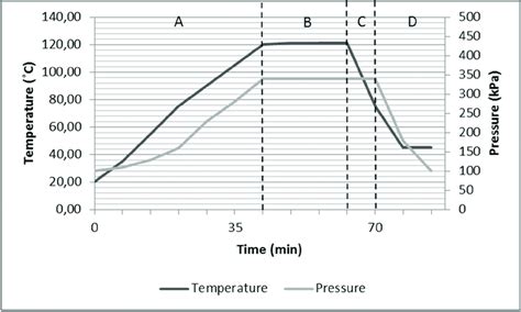 Schematic view of sterilization process. | Download Scientific Diagram