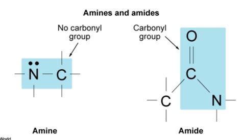 MCAT Biochemistry Missed Questions Flashcards Quizlet