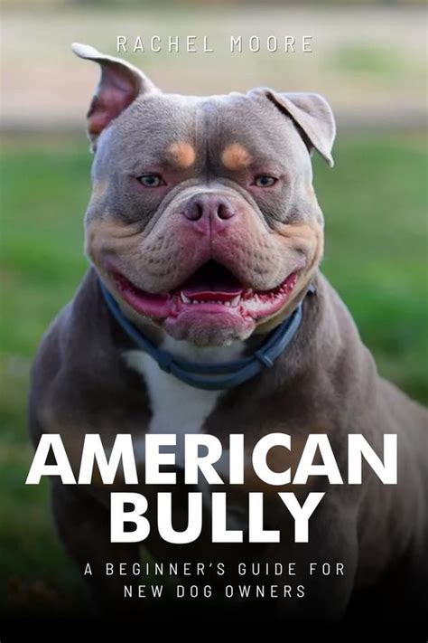 Complete Dog Owners Guide 1 American Bully A New Owners Complete