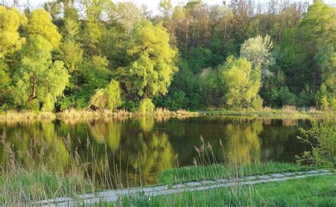Мешканці Куренівки об’єдналися й досягають успіху: як це працює ...