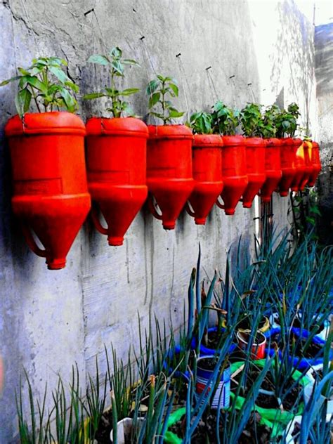 Over 20 Genius DIY Plastic Bottle Gardens You Need To See Page 2 Of 2