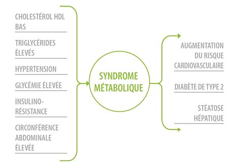 Cholest Rol Triglyc Rides Glyc Mie Et Syndrome M Tabolique Les