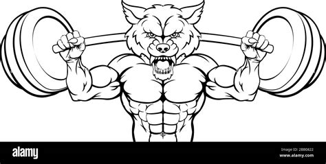 Wolf Mascot Weight Lifting Barbell Body Builder Stock Vector Image