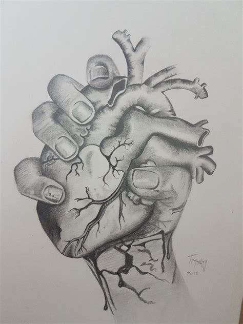 bleeding heart hand holding heart drawing - bigeyespaintingsvalue