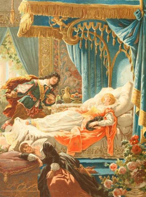 The sleeping beauty charles perrault - perpie