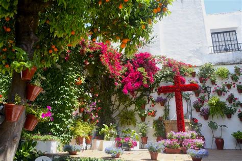 Cruces De Mayo Con Guia Cordoba Quedadas M Laga