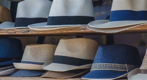 typology  academic author types tress academic