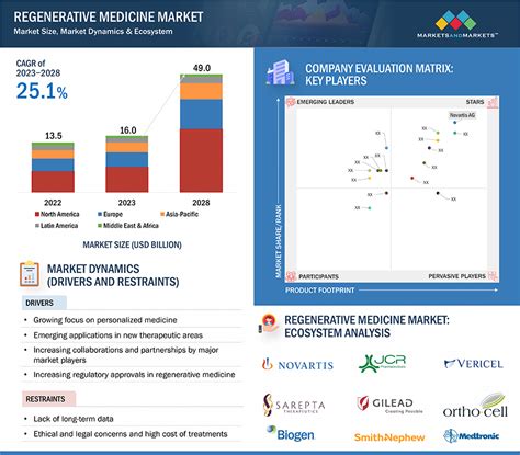 Regenerative Medicine Market Size And Global Industry Forecast