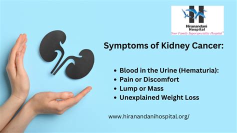 Ppt Kidney Cancer Symptoms Diagnosis And Treatment Hiranandani