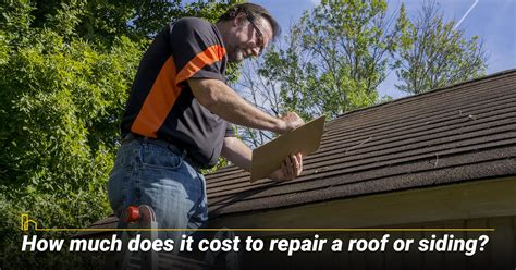 Essential Guide To Roof And Siding Repair In 2024 Homeia