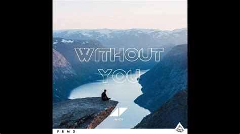 Avicii Without You Ft Sandro Cavazza Video Compilation Youtube