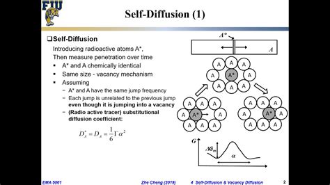 Ema L Self Diffusion Youtube