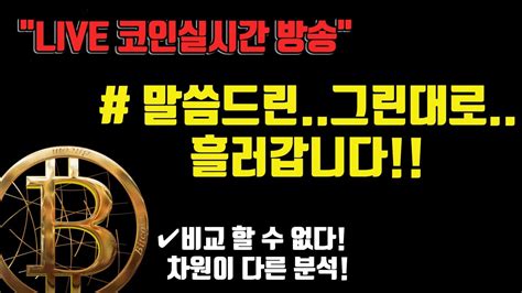 11월 10일 차트그린그대로 나옵니다 리플 도지 이클 오늘내일 시장종목 핵심정리만 비트코인방송 코인이영수 비트코인