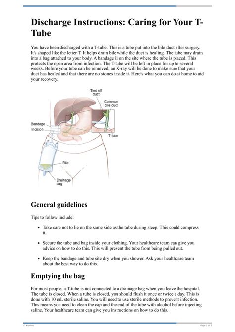 Text Discharge Instructions Caring For Your T Tube Healthclips Online