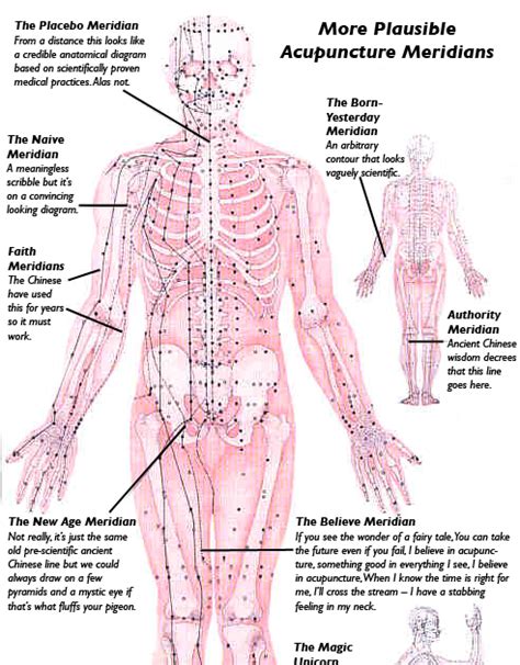 The Reason Stick Scientifically Accurate Labelling Of The Acupuncture