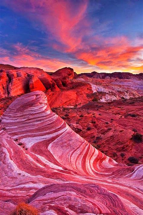 Sonoran Desert, Arizona United States | Incredible Pics