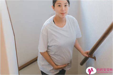 怀孕前的准备想要怀孕要注意什么如何备孕生下健康又可爱的宝宝 如何备孕 妈妈宝宝网