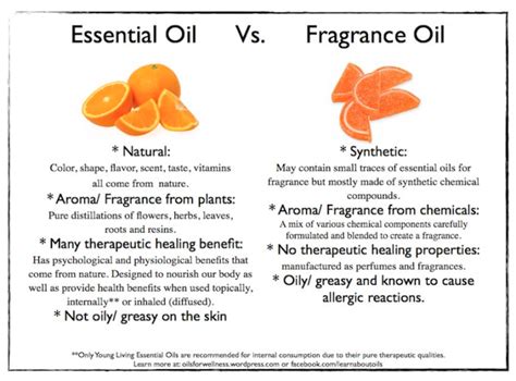 The Difference Between Essential Oil And Fragrance Oil Fragrance Oils Vs Essential Oils