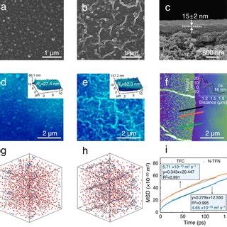 Membrane Morphologies Altered By The Interfacial Polymerization