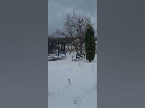 дача Алачково - YouTube