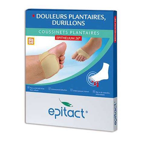 Coussinets Plantaires Lepithelium