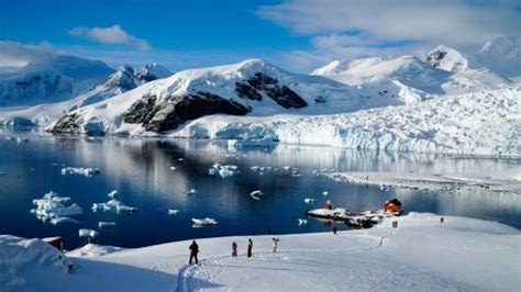 Top 5 Reasons To Visit Antarctica Crave Magazine