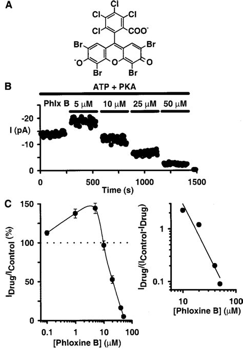 Phloxine B Modulates The Activity Of CFTR A Chemical Structure Of