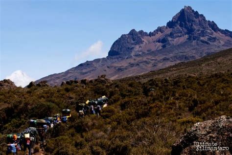 Rongai Route | Ultimate Kilimanjaro