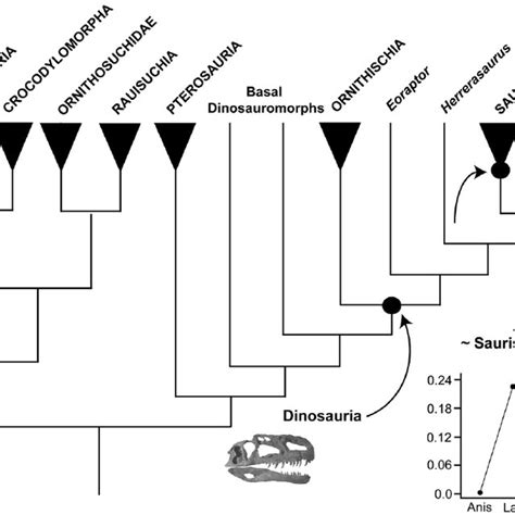 The Higher Level Phylogeny Of Archosaurs Presented By Brusatte Et Al