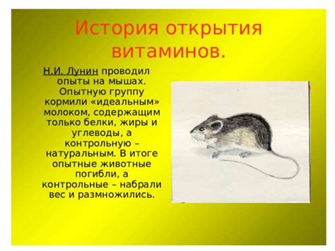 Витамины. Причины возникновения гиповитаминозов (тема 11) - презентация ...