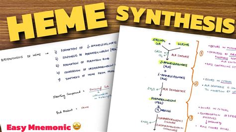 Heme Synthesis Pathway Easy Mnemonic Biochemistry Youtube