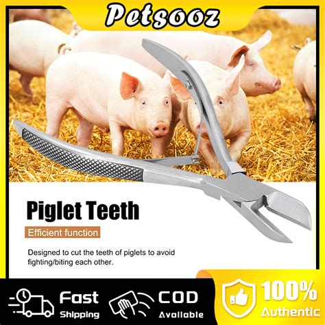 Cm Pig Tooth Cutter Teeth Clipper Forceps For Piglet Cutting Plier